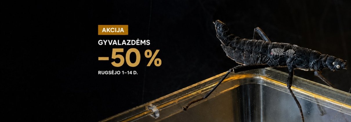 Rugsėjo akcija: trims gyvalazdžių rūšims –50 %